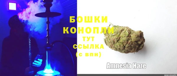 хмурый Белая Холуница