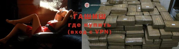 хмурый Белая Холуница